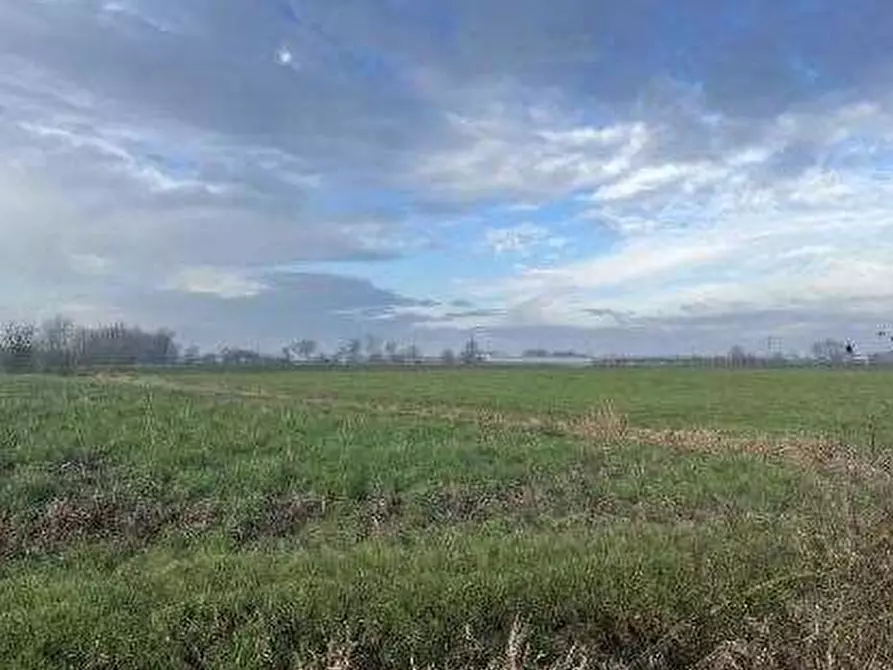 Immagine 2 di Terreno agricolo in vendita  in Via Boscarello a Quistello
