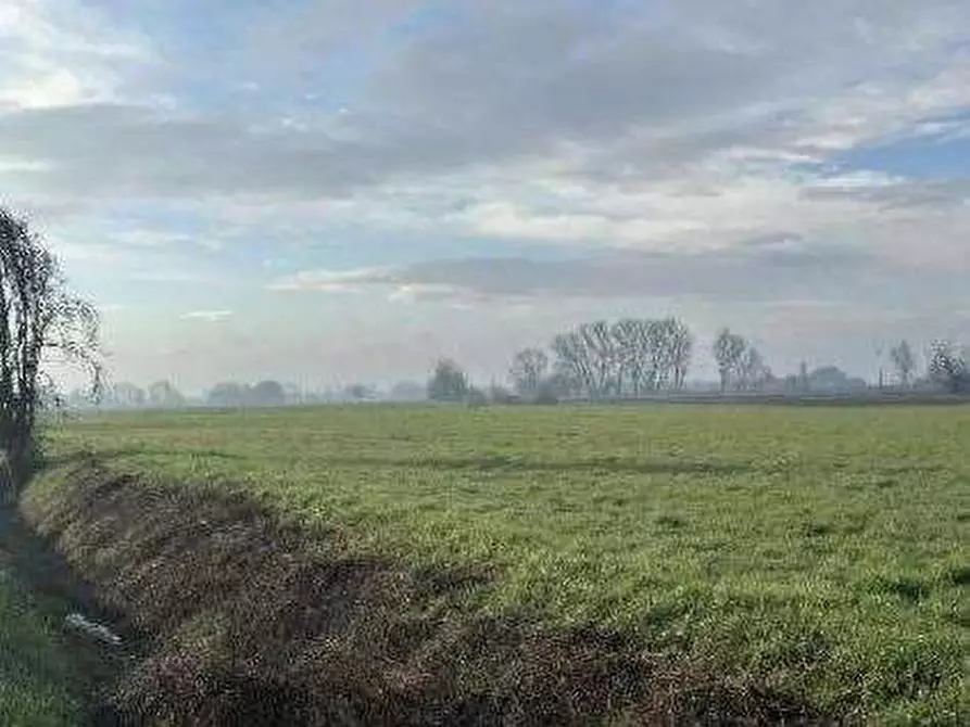 Immagine 3 di Terreno agricolo in vendita  in Via Boscarello a Quistello