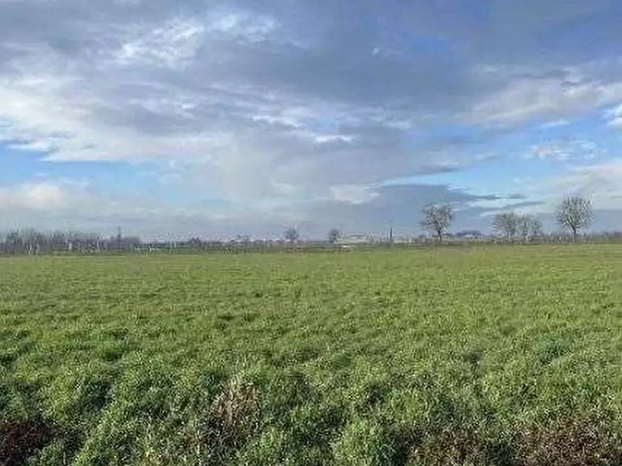 Immagine 4 di Terreno agricolo in vendita  in Via Boscarello a Quistello