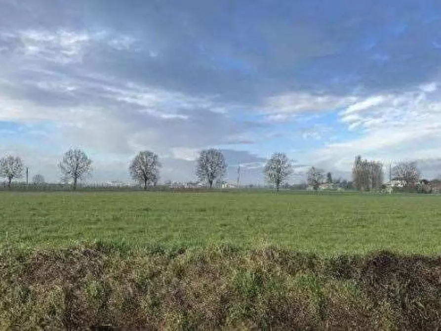 Immagine 5 di Terreno agricolo in vendita  in Via Boscarello a Quistello