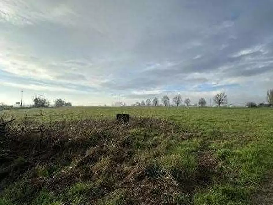 Immagine 6 di Terreno agricolo in vendita  in Via Boscarello a Quistello