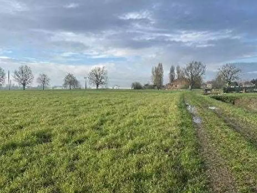 Immagine 7 di Terreno agricolo in vendita  in Via Boscarello a Quistello