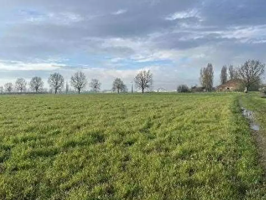 Immagine 8 di Terreno agricolo in vendita  in Via Boscarello a Quistello