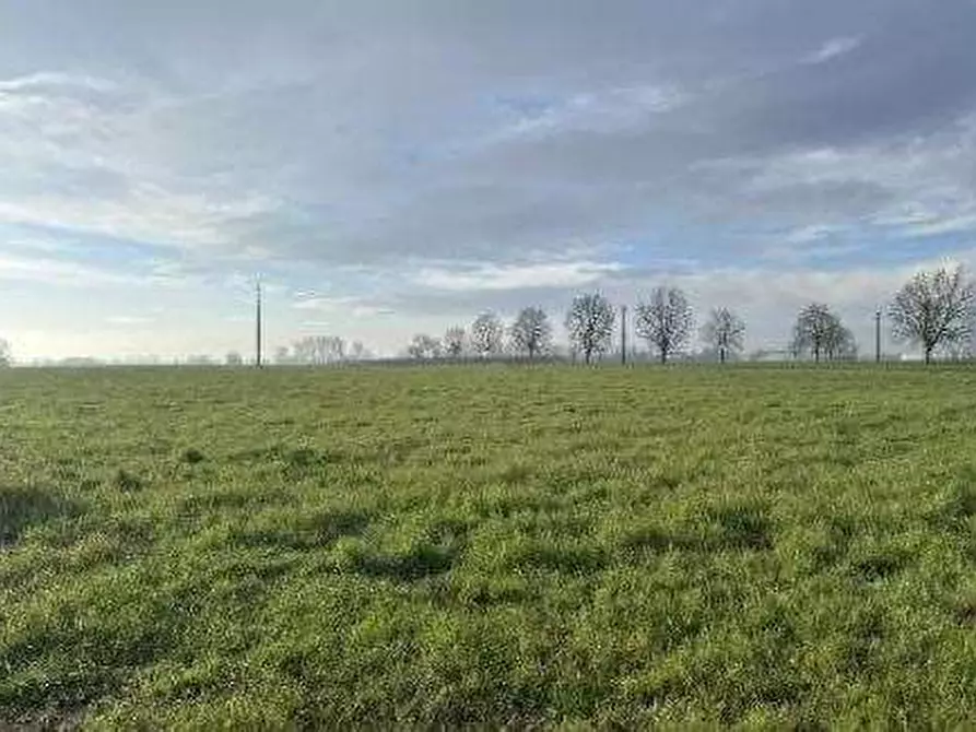 Immagine 10 di Terreno agricolo in vendita  in Via Boscarello a Quistello