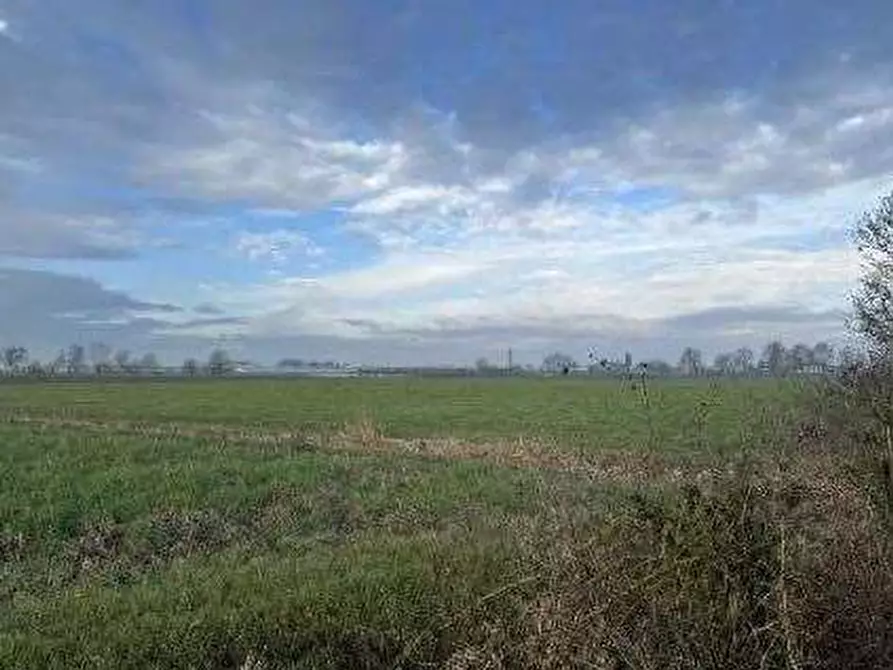Immagine 11 di Terreno agricolo in vendita  in Via Boscarello a Quistello