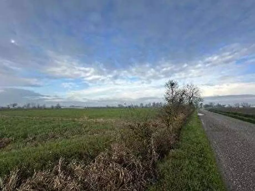 Immagine 12 di Terreno agricolo in vendita  in Via Boscarello a Quistello