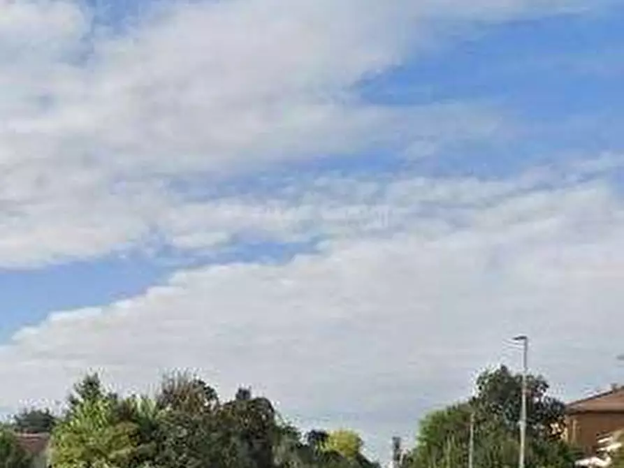 Immagine 6 di Appartamento in vendita  in Via Defedndi Semeghini a Mantova