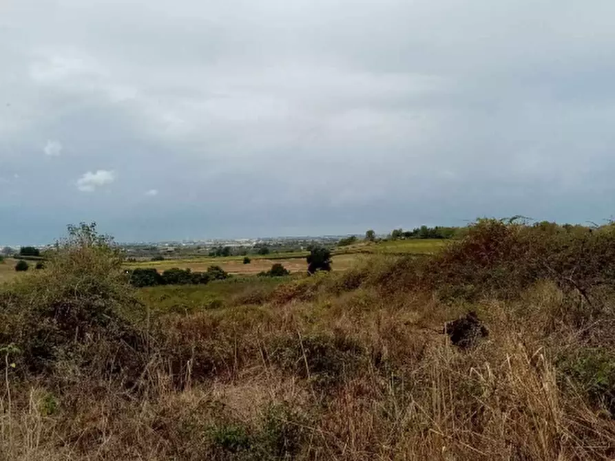 Immagine 2 di Azienda agricola in vendita  in Via Velletri-Nettuno  a Velletri