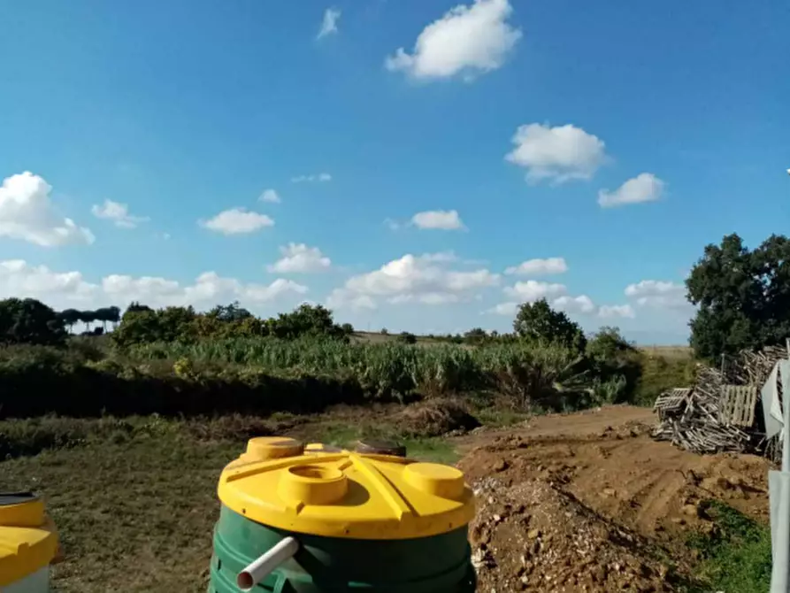 Immagine 3 di Azienda agricola in vendita  in Via Velletri-Nettuno  a Velletri