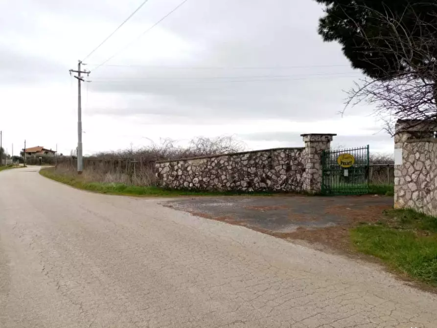 Immagine 7 di Azienda agricola in vendita  in Via Velletri-Nettuno  a Velletri