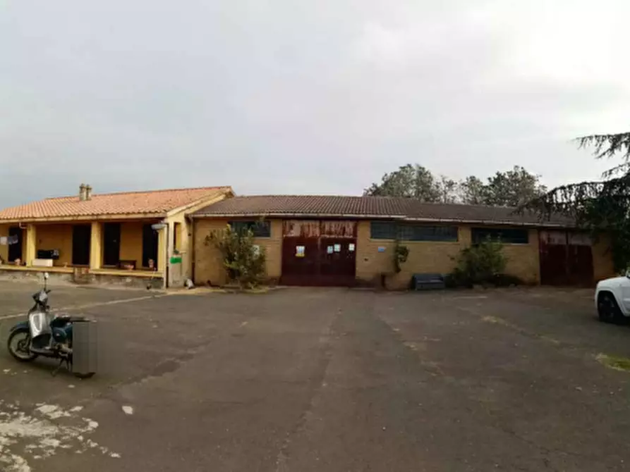 Immagine 1 di Azienda agricola in vendita  in Via Velletri-Nettuno  a Velletri