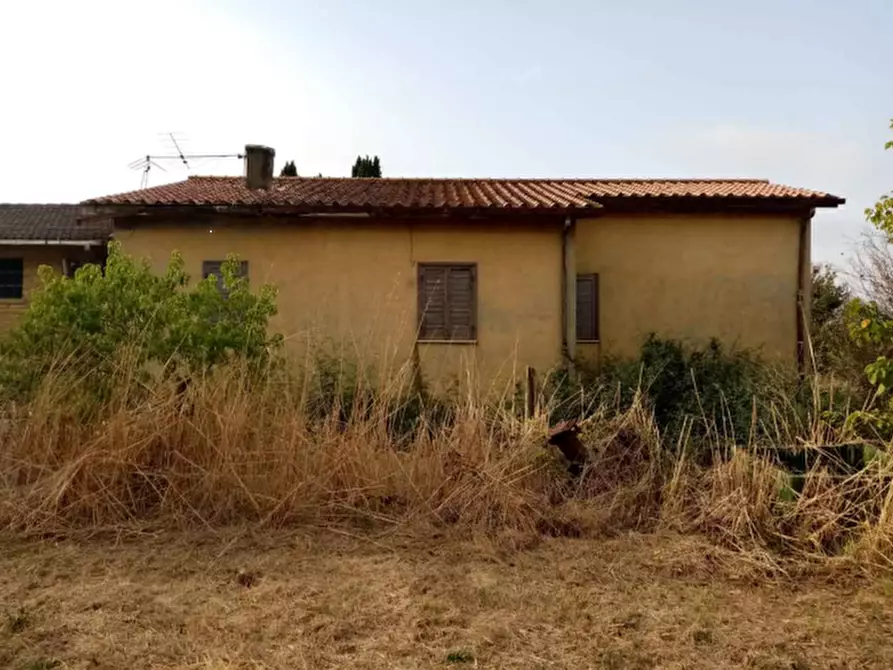 Immagine 9 di Azienda agricola in vendita  in Via Velletri-Nettuno  a Velletri
