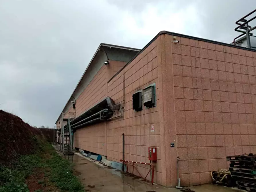 Immagine 11 di Azienda agricola in vendita  in Via Velletri-Nettuno  a Velletri