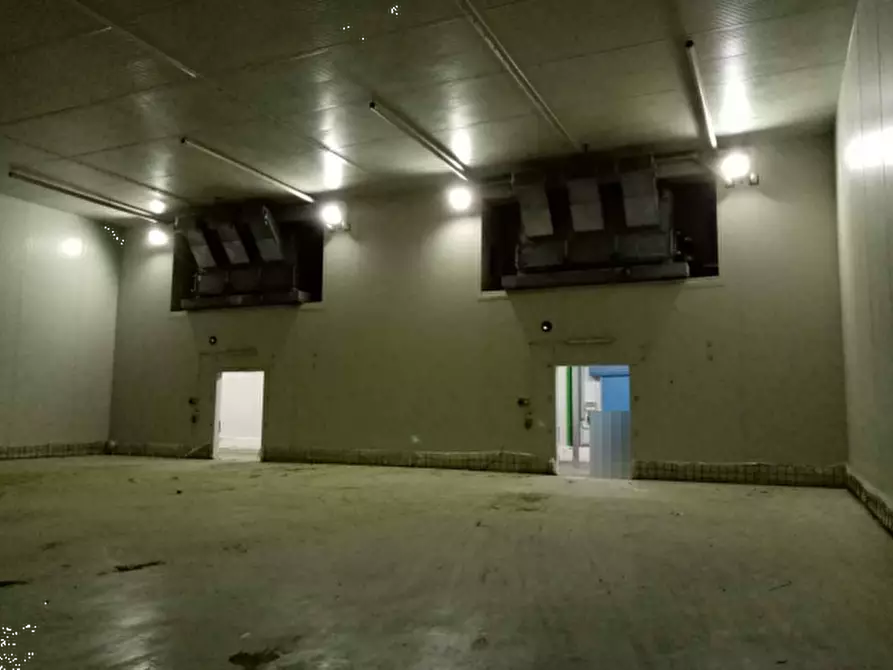 Immagine 12 di Azienda agricola in vendita  in Via Velletri-Nettuno  a Velletri