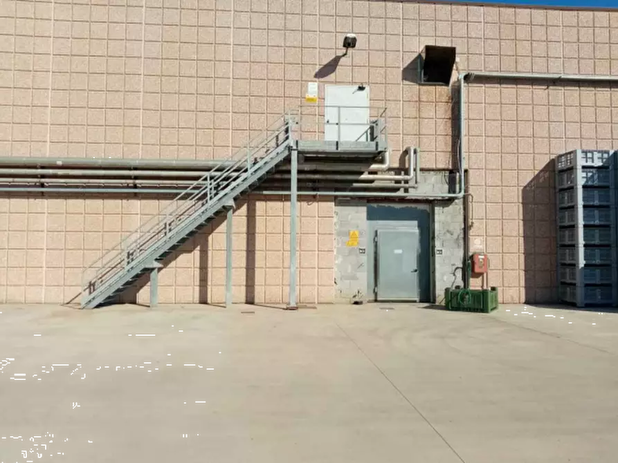 Immagine 14 di Azienda agricola in vendita  in Via Velletri-Nettuno  a Velletri