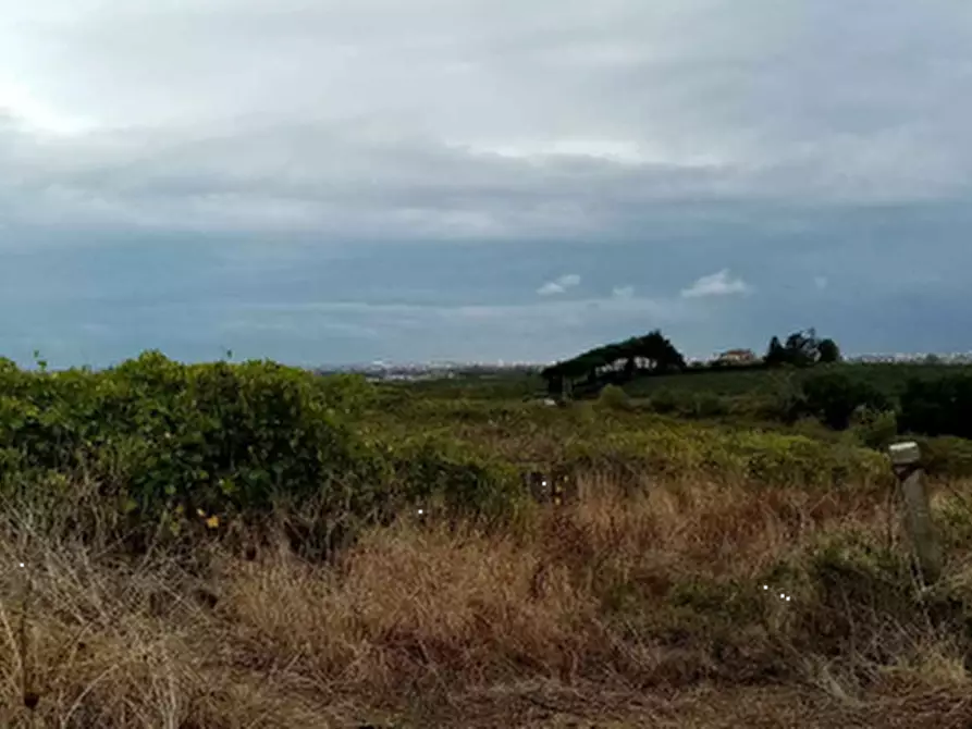 Immagine 17 di Azienda agricola in vendita  in Via Velletri-Nettuno  a Velletri