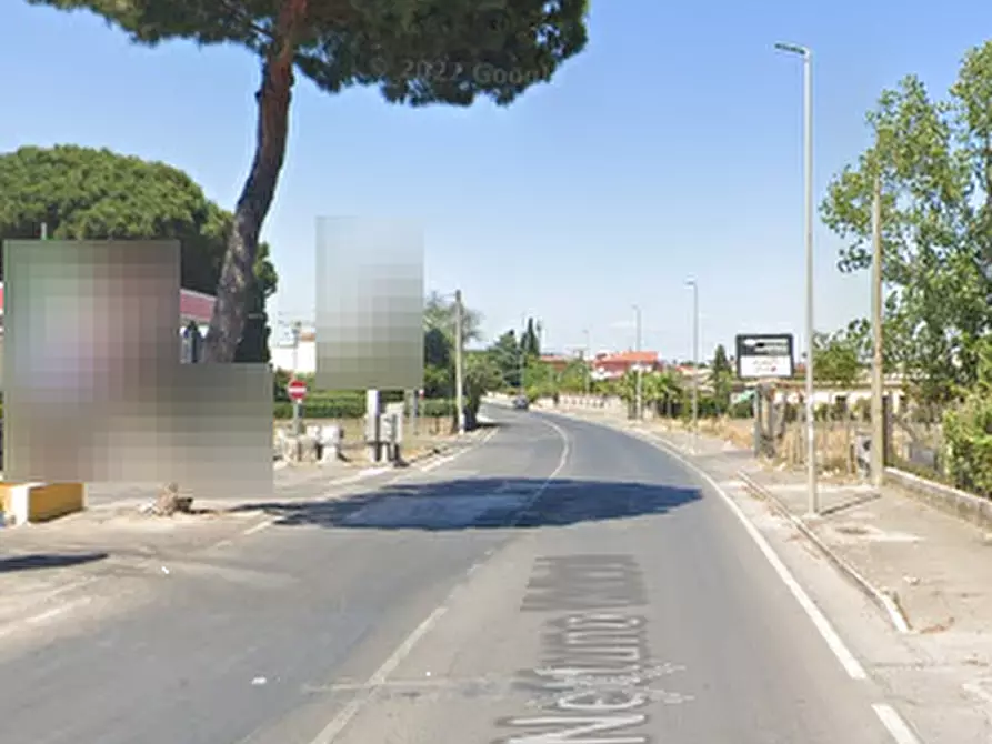 Immagine 19 di Azienda agricola in vendita  in Via Velletri-Nettuno  a Velletri