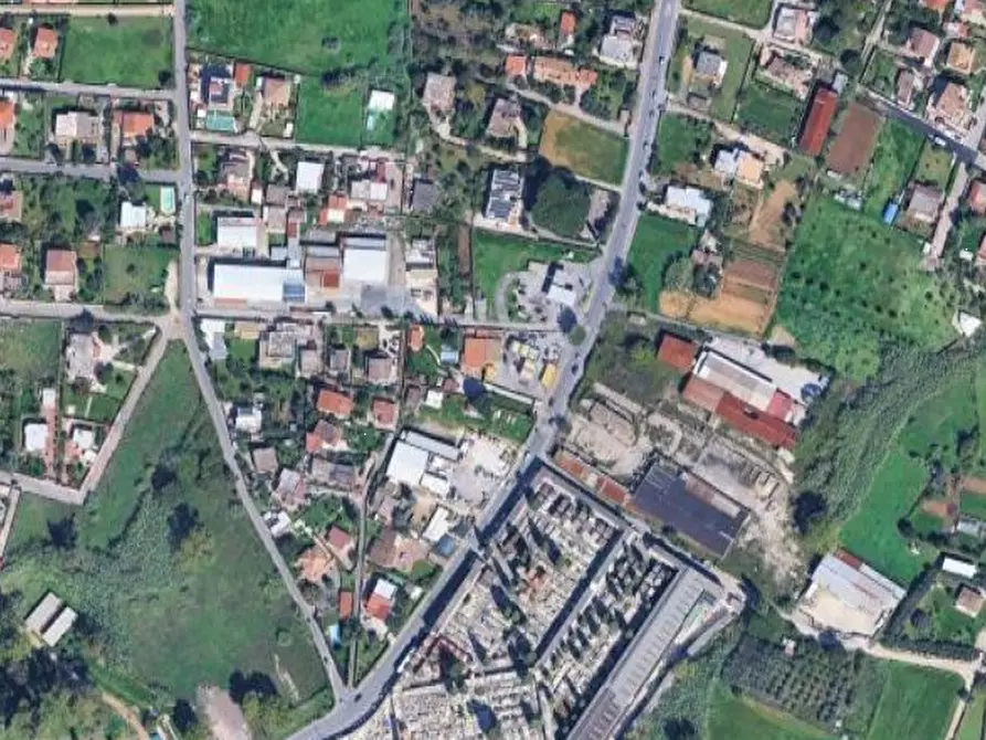 Immagine 20 di Azienda agricola in vendita  in Via Velletri-Nettuno  a Velletri