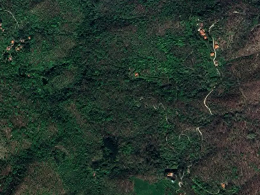 Immagine 6 di Appartamento in vendita  in Localita' Bucigna a Londa