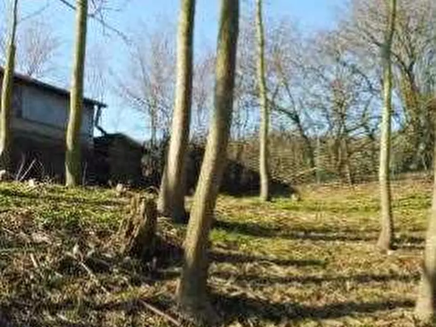 Immagine 6 di Appartamento in vendita  in via Mazzalasino a Scandiano