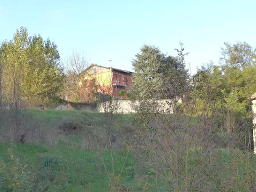 Immagine 4 di Terreno edificabile in vendita  in N. SforacchI a Viano