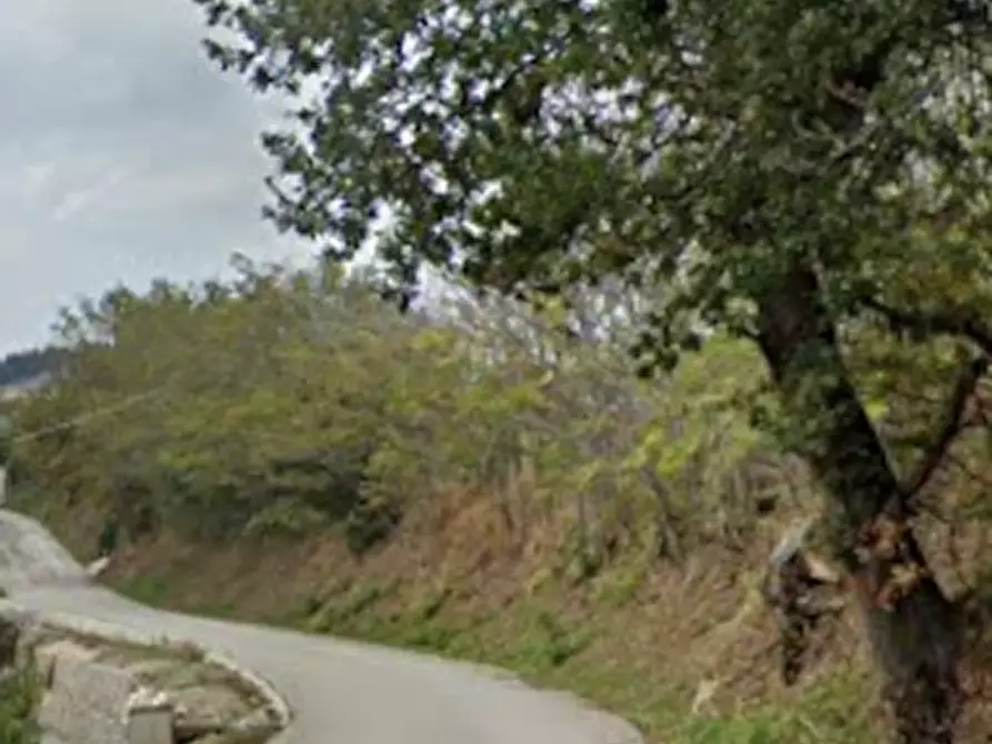 Immagine 2 di Terreno agricolo in vendita  in Via Rene a Sant'elpidio A Mare