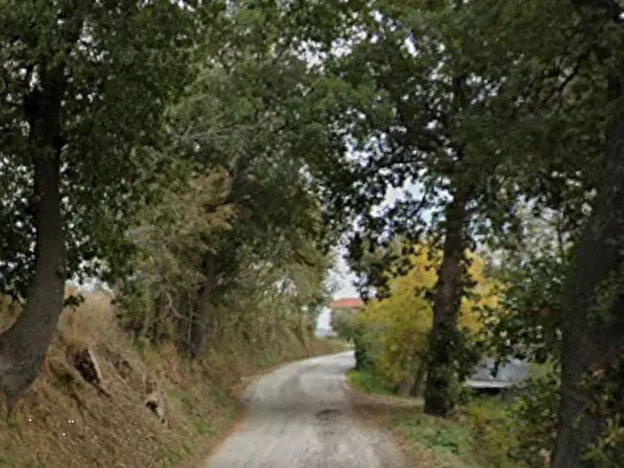 Immagine 3 di Terreno agricolo in vendita  in Via Rene a Sant'elpidio A Mare