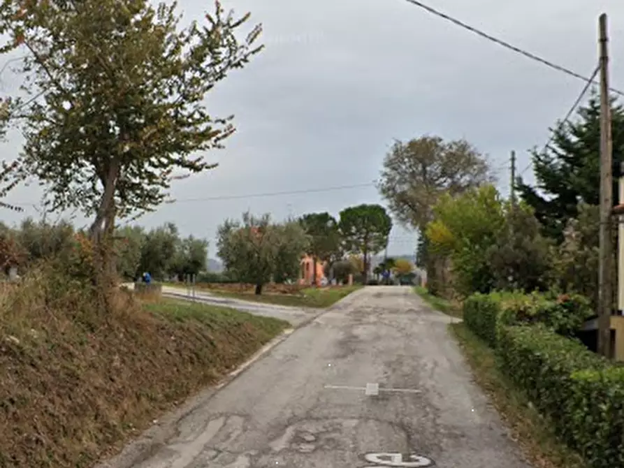 Immagine 4 di Terreno agricolo in vendita  in Via Rene a Sant'elpidio A Mare