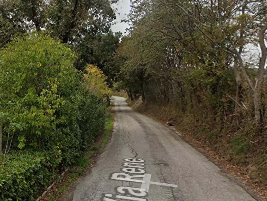 Immagine 5 di Terreno agricolo in vendita  in Via Rene a Sant'elpidio A Mare