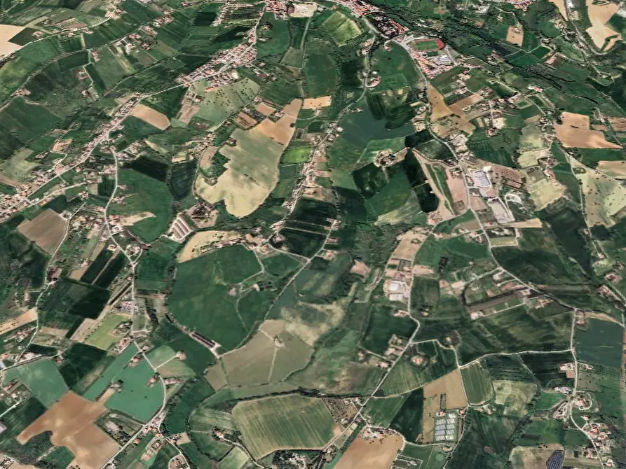 Immagine 6 di Terreno agricolo in vendita  in Via Rene a Sant'elpidio A Mare