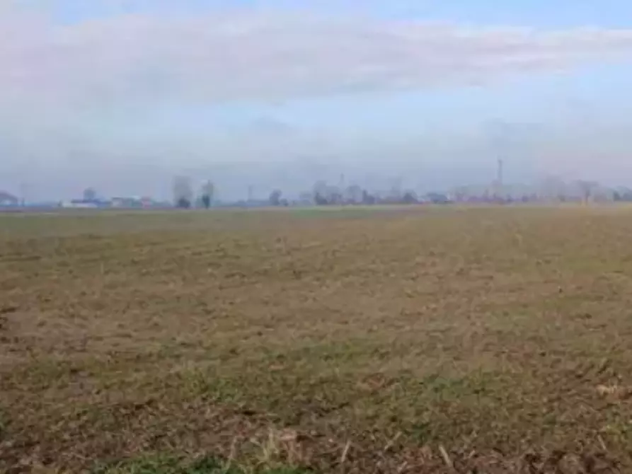Immagine 3 di Terreno edificabile in vendita  in Localita' Carbonara/Ronchi a Povegliano Veronese