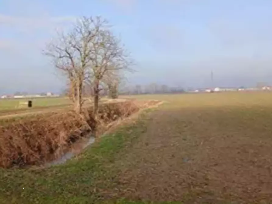Immagine 5 di Terreno edificabile in vendita  in Localita' Carbonara/Ronchi a Povegliano Veronese