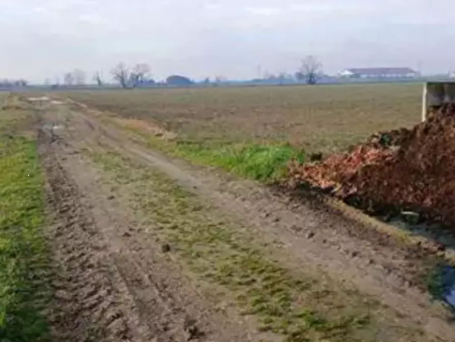 Immagine 6 di Terreno edificabile in vendita  in Localita' Carbonara/Ronchi a Povegliano Veronese