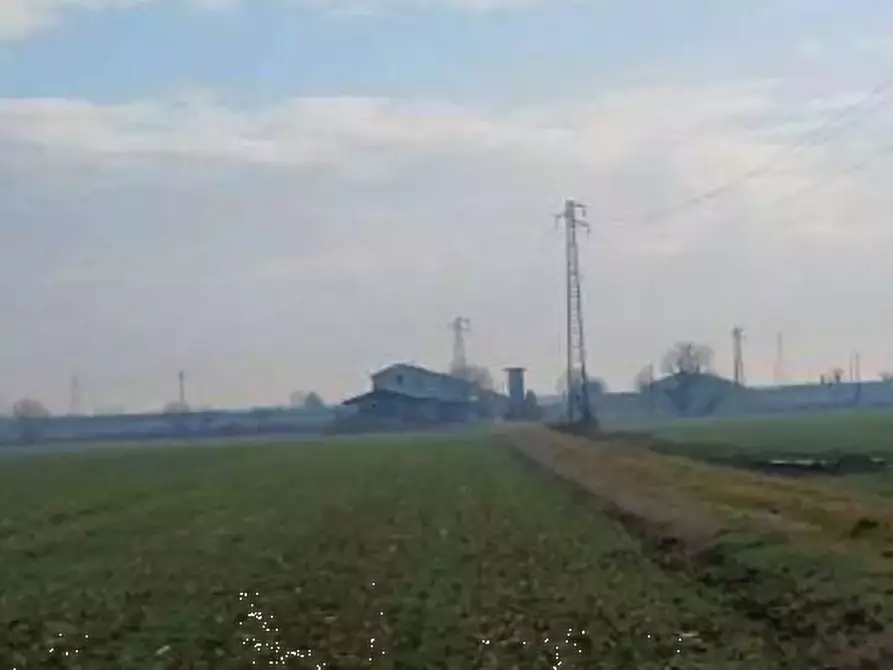 Immagine 1 di Terreno agricolo in vendita  in  Localita' Ronchi a Povegliano Veronese