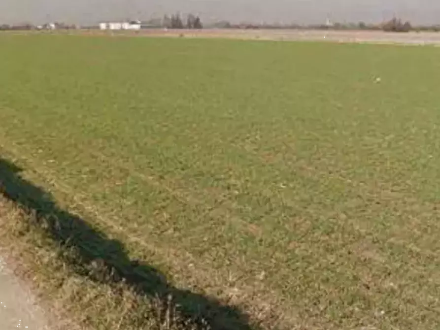 Immagine 3 di Terreno agricolo in vendita  in  Localita' Ronchi a Povegliano Veronese