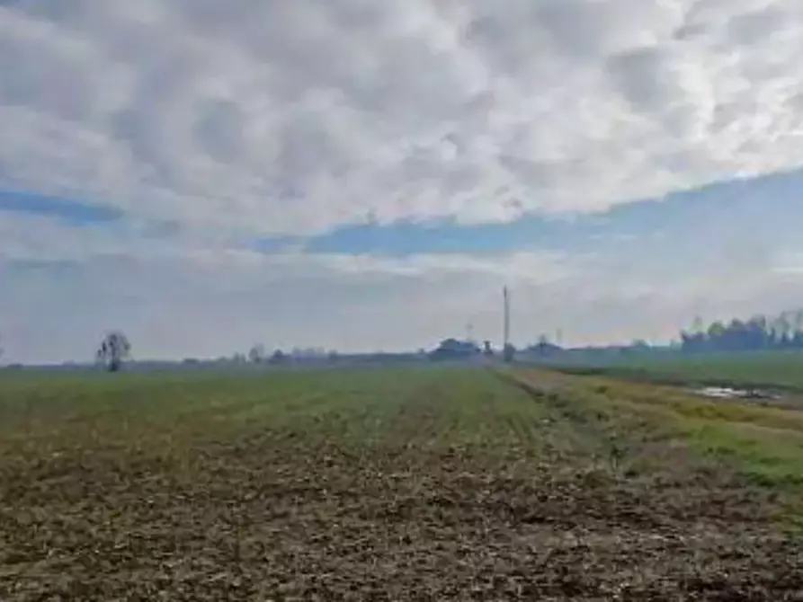 Immagine 4 di Terreno agricolo in vendita  in  Localita' Ronchi a Povegliano Veronese