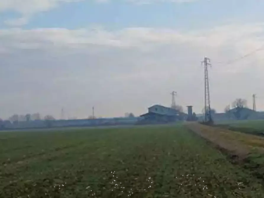 Immagine 5 di Terreno agricolo in vendita  in  Localita' Ronchi a Povegliano Veronese
