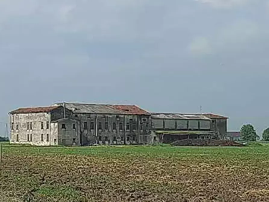 Immagine 2 di Terreno agricolo in vendita  in  Localita' Ronchi a Povegliano Veronese