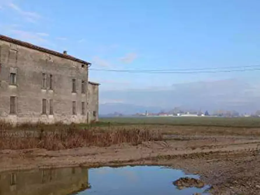 Immagine 3 di Terreno agricolo in vendita  in  Localita' Ronchi a Povegliano Veronese