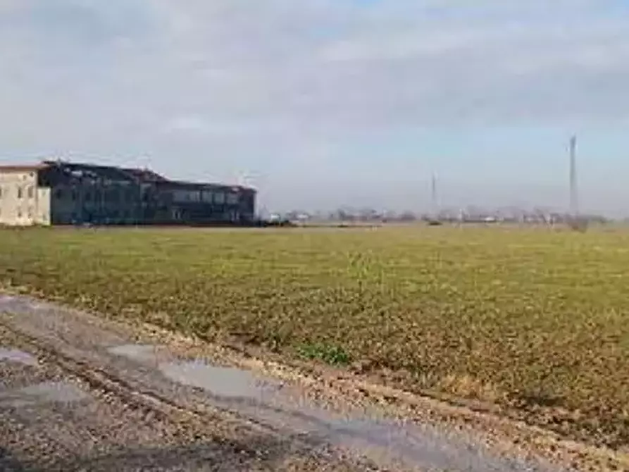 Immagine 4 di Terreno agricolo in vendita  in  Localita' Ronchi a Povegliano Veronese
