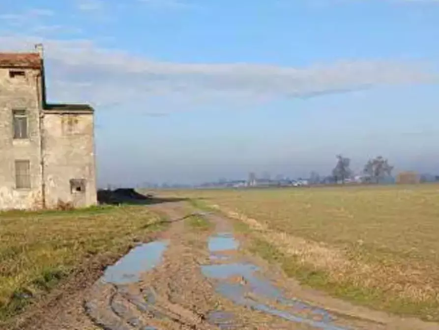 Immagine 7 di Terreno agricolo in vendita  in  Localita' Ronchi a Povegliano Veronese