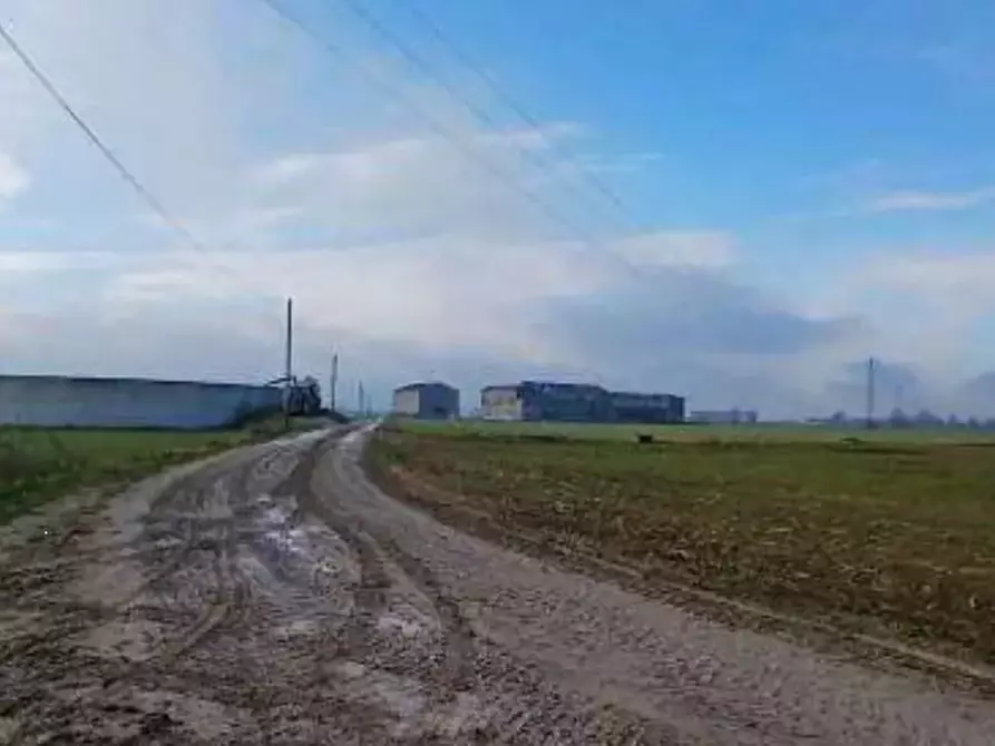 Immagine 1 di Terreno agricolo in vendita  in  Localita' Ronchi a Povegliano Veronese