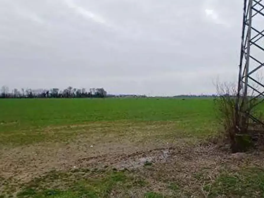 Immagine 2 di Terreno agricolo in vendita  in  Localita' Ronchi a Povegliano Veronese