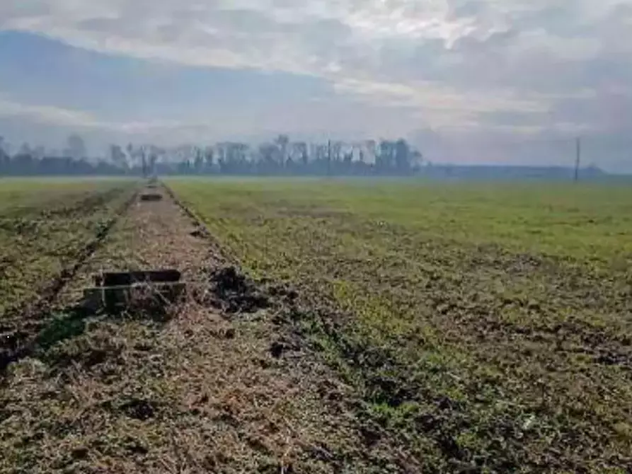Immagine 3 di Terreno agricolo in vendita  in  Localita' Ronchi a Povegliano Veronese