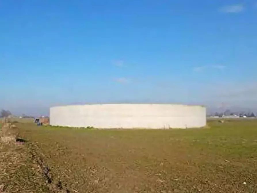 Immagine 4 di Terreno agricolo in vendita  in  Localita' Ronchi a Povegliano Veronese