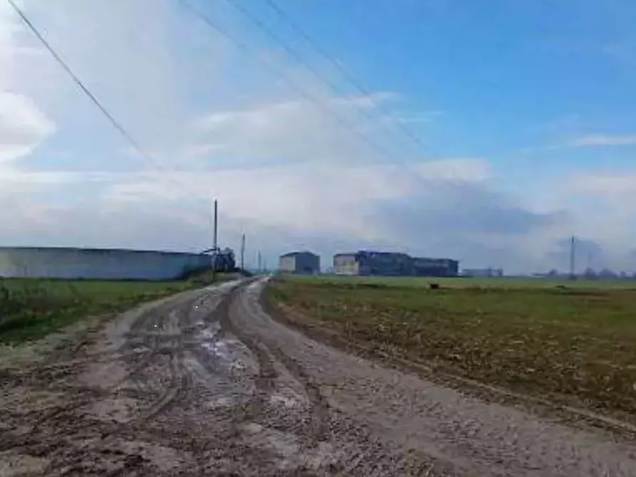 Immagine 5 di Terreno agricolo in vendita  in  Localita' Ronchi a Povegliano Veronese
