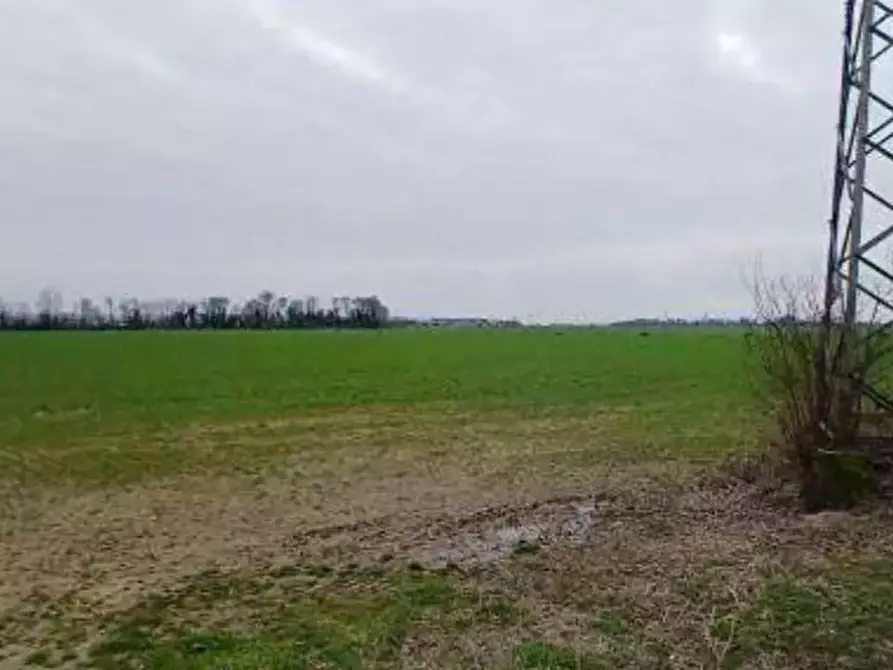 Immagine 6 di Terreno agricolo in vendita  in  Localita' Ronchi a Povegliano Veronese