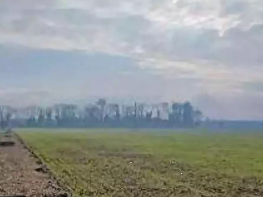 Immagine 7 di Terreno agricolo in vendita  in  Localita' Ronchi a Povegliano Veronese
