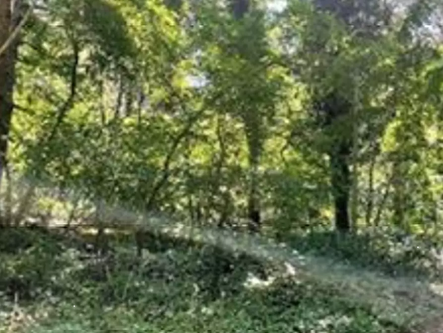 Immagine 1 di Terreno agricolo in vendita  in Via San Cristoforo Colombo a Somma Lombardo