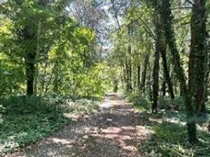 Immagine 1 di Terreno agricolo in vendita  in Via Cristoforo Colombo a Somma Lombardo